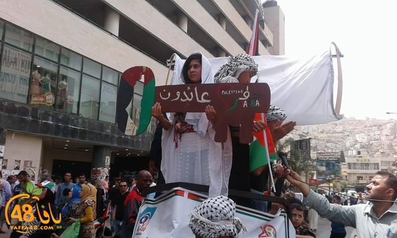 safina yaffa (4).jpg